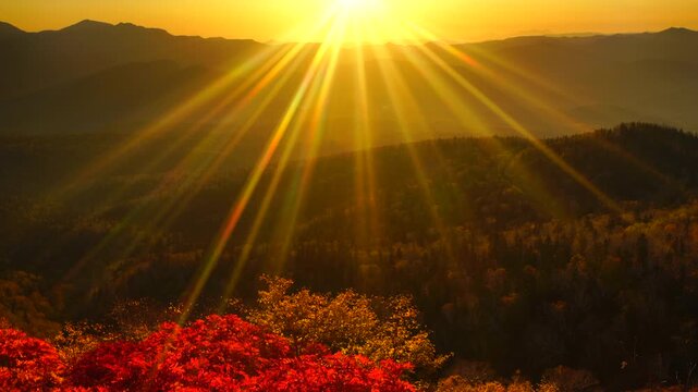 赤岳第一花園から望むナナカマドと武利岳などの山並みと朝日