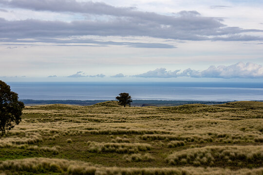 View from rolling green hills looking down toward the Pacific Ocean horizon on the Big Island Hawaii