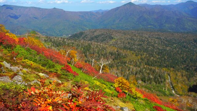 ナナカマドの紅葉と武利岳とニセイカウシュッペ山などの山並み