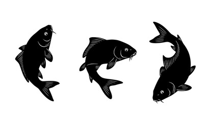 Fototapeta premium Set of carp fish silhouettes in swimming and diving poses isolated on white background