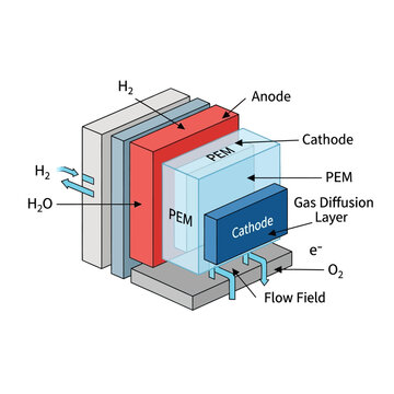 Proton Exchange Membrane Fuel Cell Diagram: Hydrogen, Oxygen, PEM, Anode, Cathode