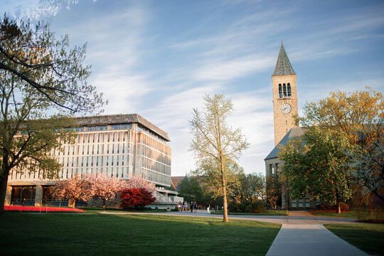 Captured on May 7, 2023, in Ithaca, New York State, USA, McGraw Tower at Cornell University is framed by vibrant spring foliage and flowering trees.