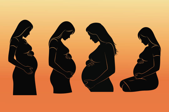 Pregnancy progression a silhouette series depicting the changing maternal form