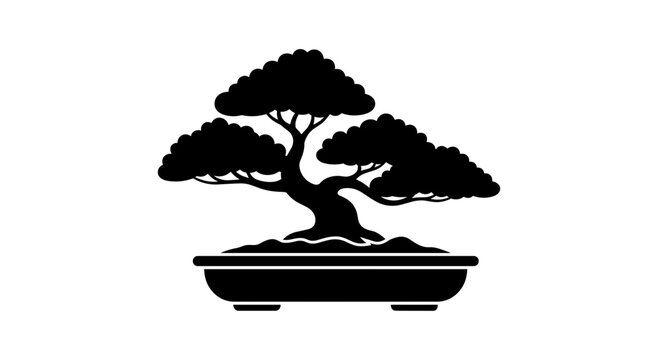 Bonsai Tree in a Pot.