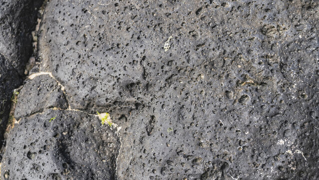 The surface of a black volcanic boulder. Close-up. The texture of the tufa. Visible pores, cracks. Mauritius.