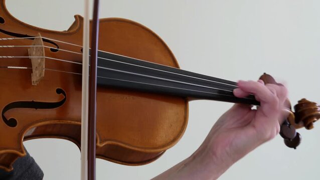 close up violin. violinist bowing violin strings performance