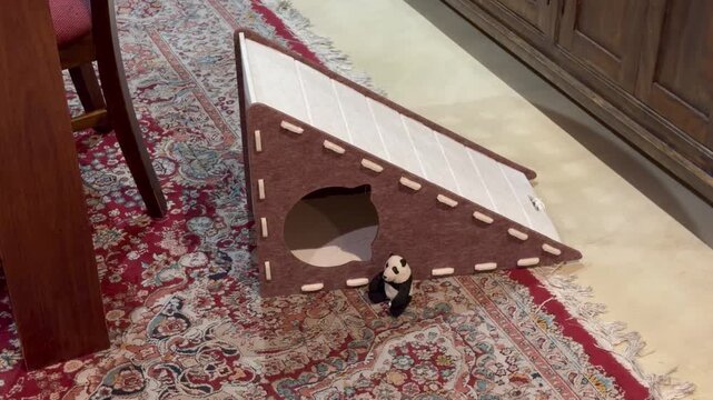 A cat playhouse in a suburban home.