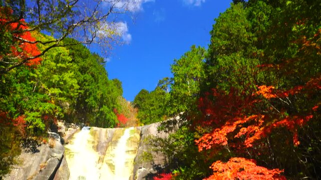 紅葉の田立の滝の天河滝