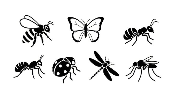 Insect silhouette collection bee butterfly ant ladybug dragonfly mosquito