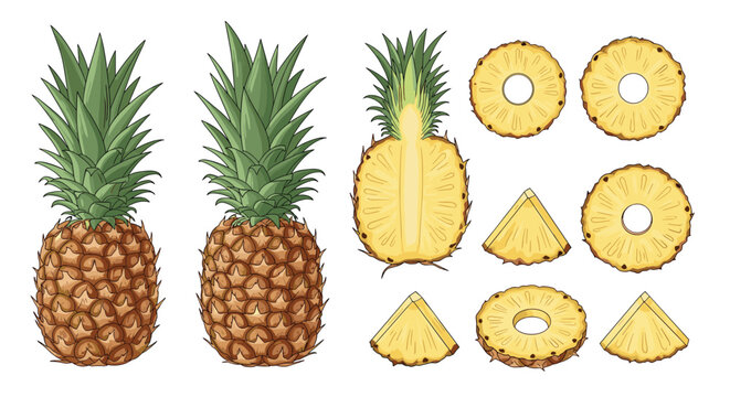Set of fresh pineapple fruit icons including whole fruit half slices and chunks isolated on white background for design.
