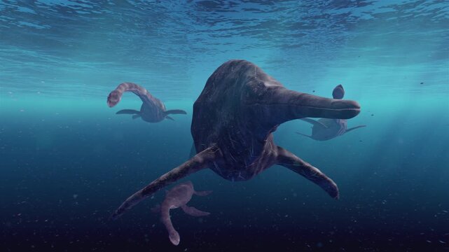 A 4K, 12-second 3D animation captures a majestic, giant shonisaurus swimming alongside a group of long-necked plesiosaurs in a sun-drenched prehistoric ocean.