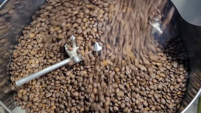 Roasted coffee beans emanate roastery machine