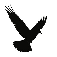 Naklejka premium Black eagle silhouette, flying bird icon, wildlife symbol, vector graphic