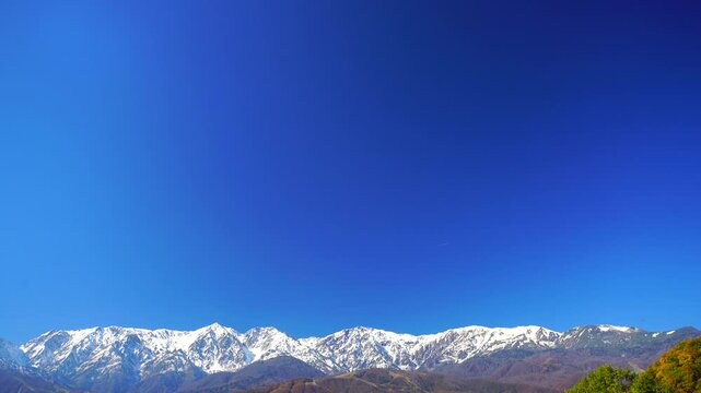 野平の紅葉のブルーベリーと白馬連峰