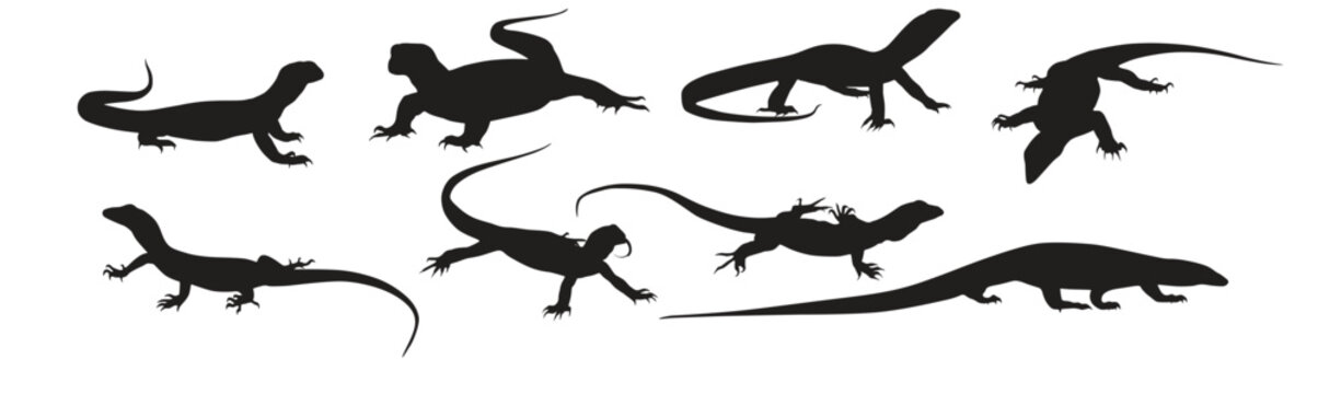 Set of lizard vector illustration