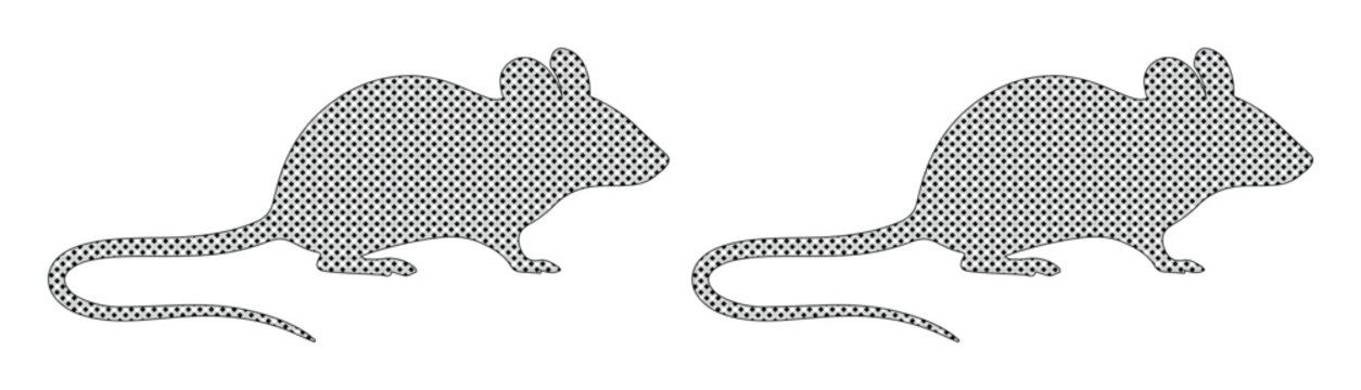Minimalist mouse silhouette vector set, grey rodent icons with long tails, simple animal shapes for laboratory or pest control design