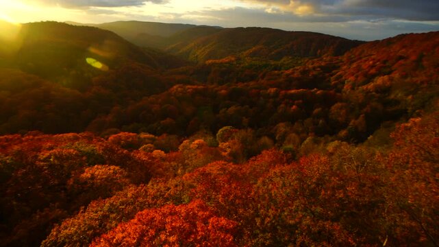 城ヶ倉大橋から望む城ヶ倉渓谷の紅葉と夕日