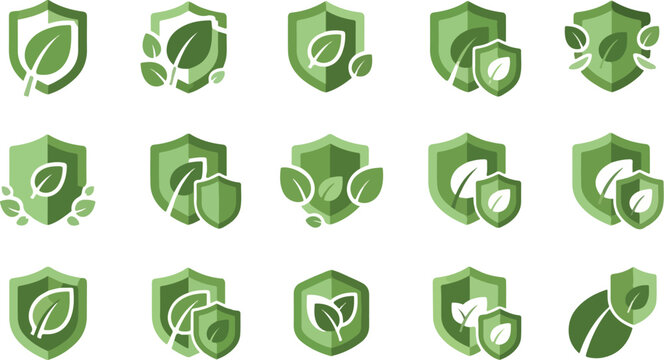 Green shield and leaf icons for environmental protection and sustainability, understanding life's elements from an amoeba under microscope to vast ecosystems