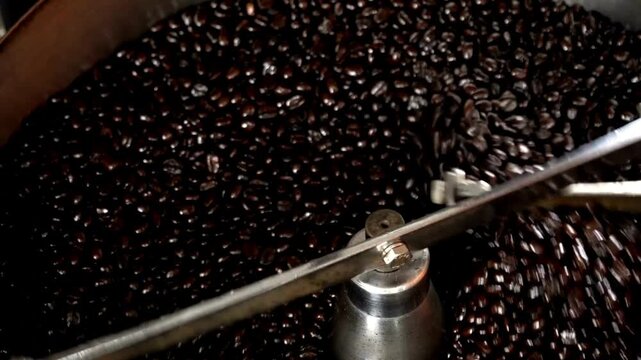 Roasted coffee beans in coffee roaster process Mixing and roasting process - coffee roaster machine during work close-up