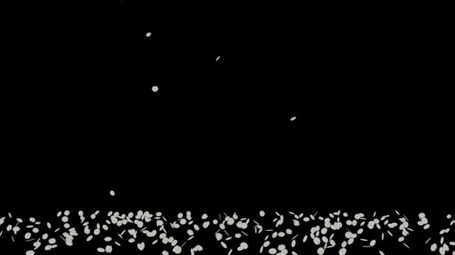 Falling Daisies