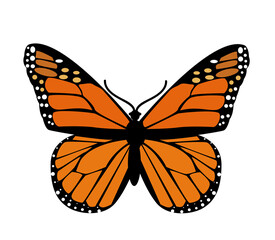 Fototapeta premium Butterfly. Vector illustration design
