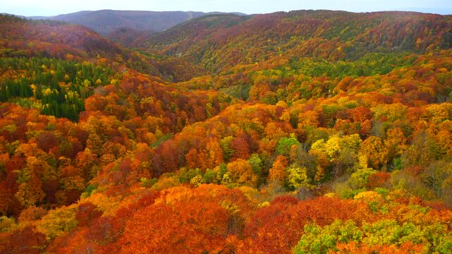城ヶ倉大橋から望む城ヶ倉渓谷の紅葉