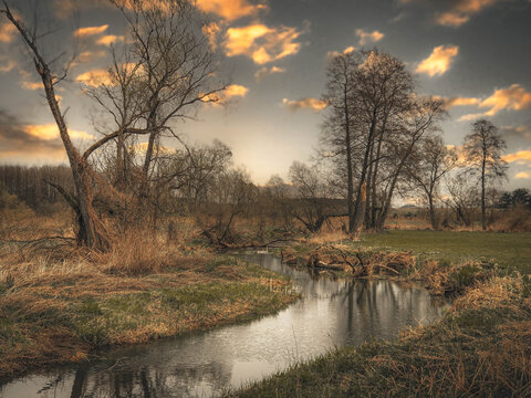 Spring on the small Grabia River, Poland.