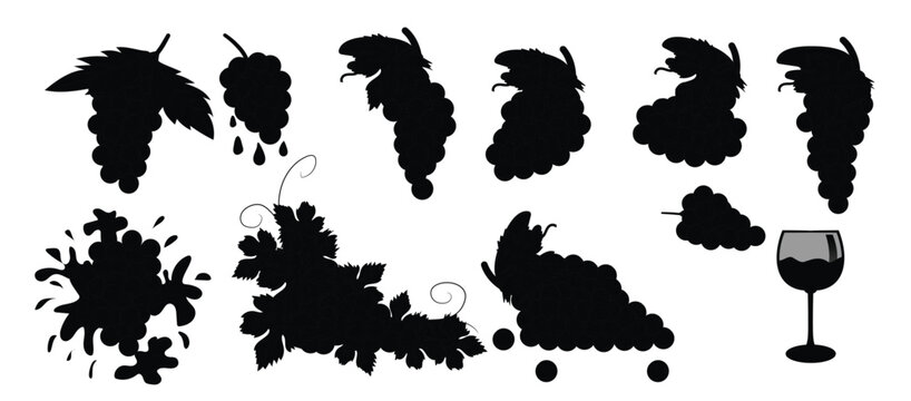 Set of Grape vector illustration