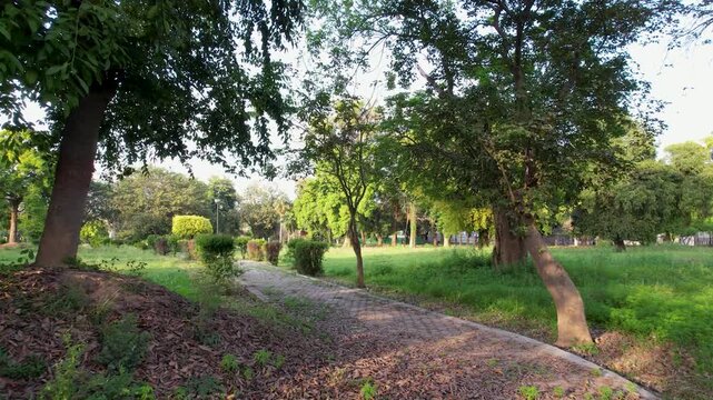 A smooth, low-altitude drone shot glides forward along a paved pedestrian path, framed by the overarching branches of mature trees.