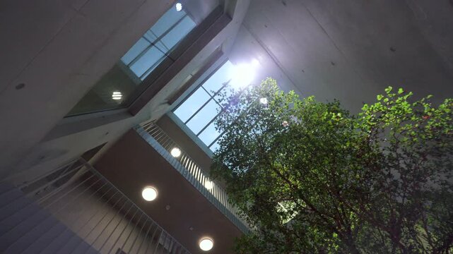 A low angle view from an indoor courtyard atrium looking up past a tree to the bright sun.