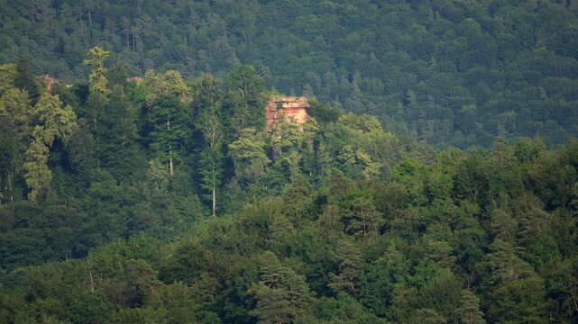 A static 4K shot of the historic red sandstone ruins of Falkenstein nestled in a dense forest.
