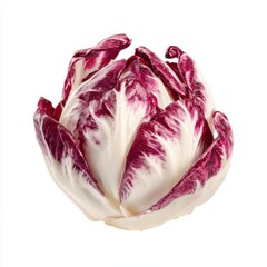 Fototapeta premium Radicchio Vegetable With White Background Close Up Studio Shot Healthy Food Ingredient