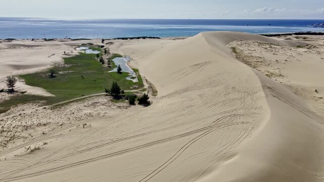 Aerial Drone Phan Rang Sand Dunes Dune Lake Lush Grassland Grazing Cattle Ninh Thuan Vietnam