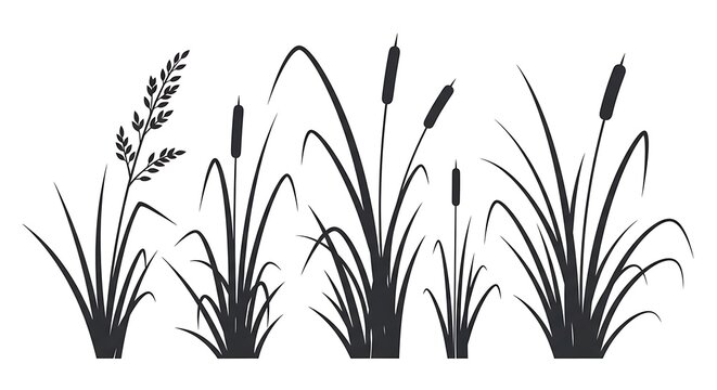 Vector graphic illustration of cattails and reeds in a minimalist style design