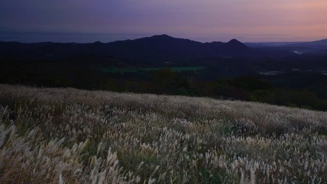 大黒森から望む高堂山と折爪岳などの山並みとススキと朝日