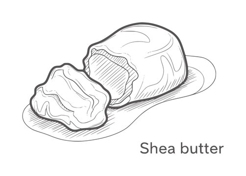 Hand drawn of shea butter chunks a wooden surface outline texture