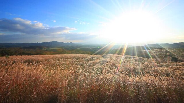 大黒森から望む高堂山などの山並みとススキと朝日と道路