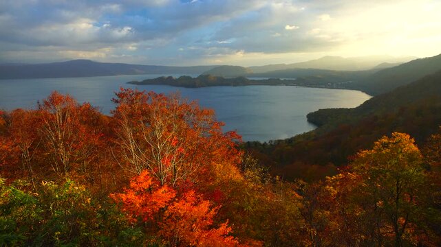 朝の紫明亭展望台から望む十和田湖と紅葉の樹林