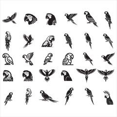 Obraz premium Parrot SVG Bundle,Parrot icon SVG