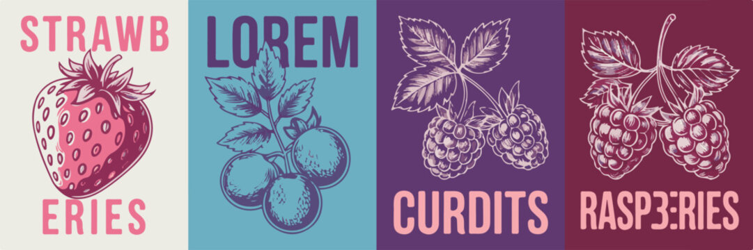 Strawberry lorem curdis raspberries fruit illustration vintage retro style graphic resource.
