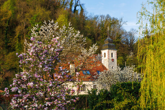 Church of St. Michael in spring bloom, Samobor, Croatia
