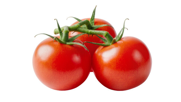 Ripe red tomatoes with green stems and leaves