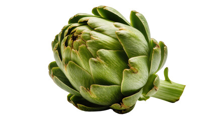 Obraz premium Fresh Green Artichoke with Stem and Textured Leaves