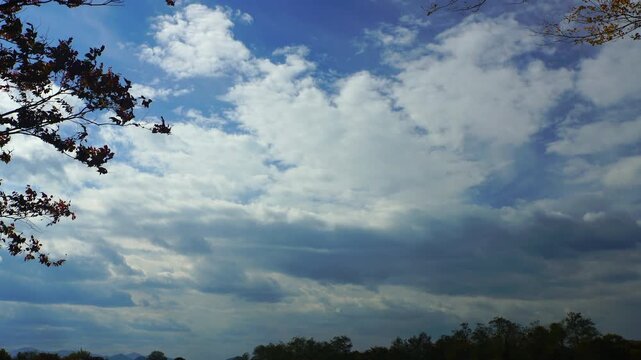 大湯環状列石の紅葉の木立と午後の木もれ日