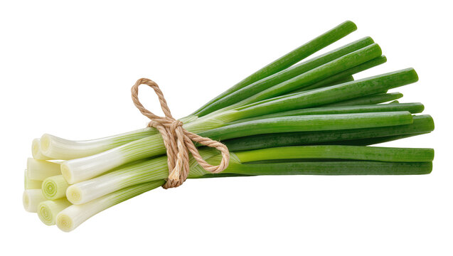Bound Bunch Fresh Green Spring Onions with Twine