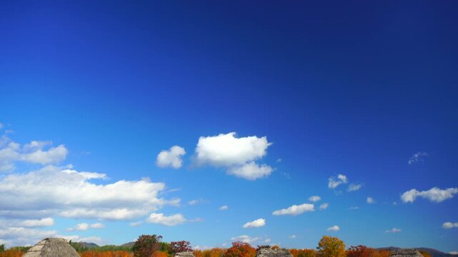 大湯環状列石の掘立柱建物