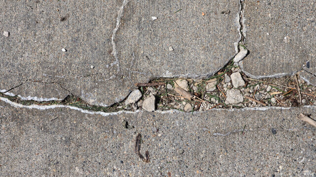 A high-angle view of weathered, grey concrete fractured by a large, deep horizontal crack. The fissure is filled with small rocks, dirt, and organic debris, showcasing urban decay and texture.