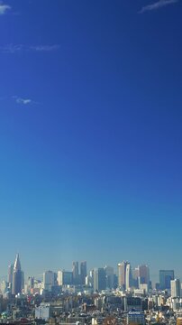 平河町から望む新宿のビル群