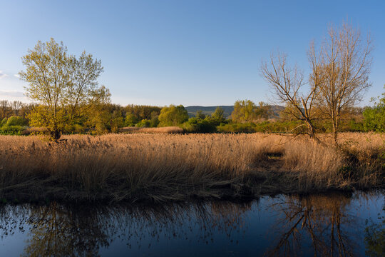 Aulandschaft bei Sporkenheim (Ingelheim)