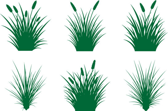 Set of green grass silhouettes with various cattail and leaf arrangements